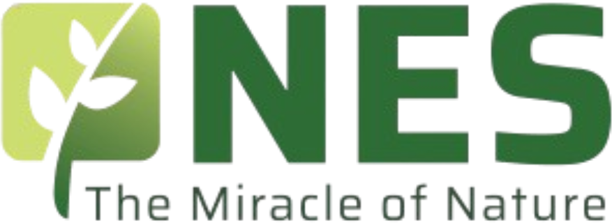 NES - The Miracle of Nature